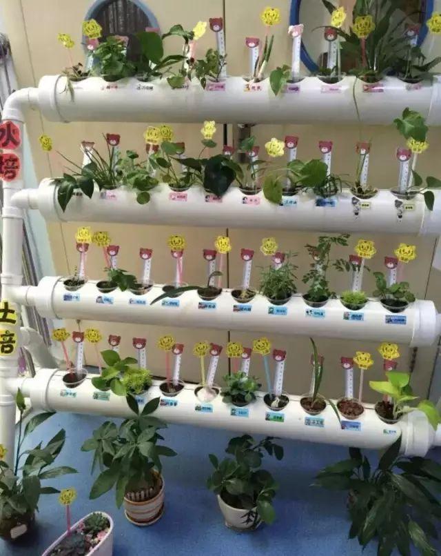 变废为宝：幼儿园植物盆栽环创新玩法