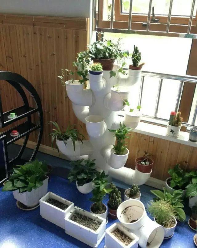 变废为宝：幼儿园植物盆栽环创新玩法